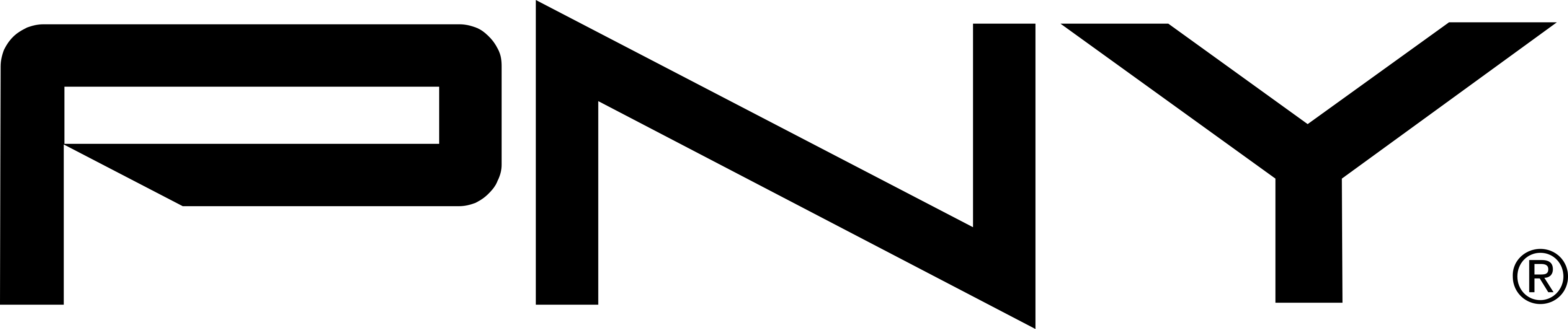 PNY seminovo